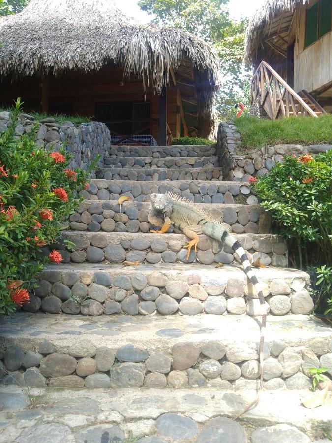 Ecocabanas Diosa Jaguar Tayrona La Esmeralda  Екстер'єр фото