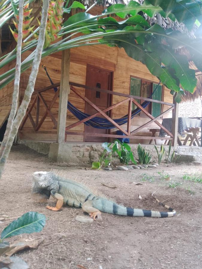 Ecocabanas Diosa Jaguar Tayrona La Esmeralda  Екстер'єр фото