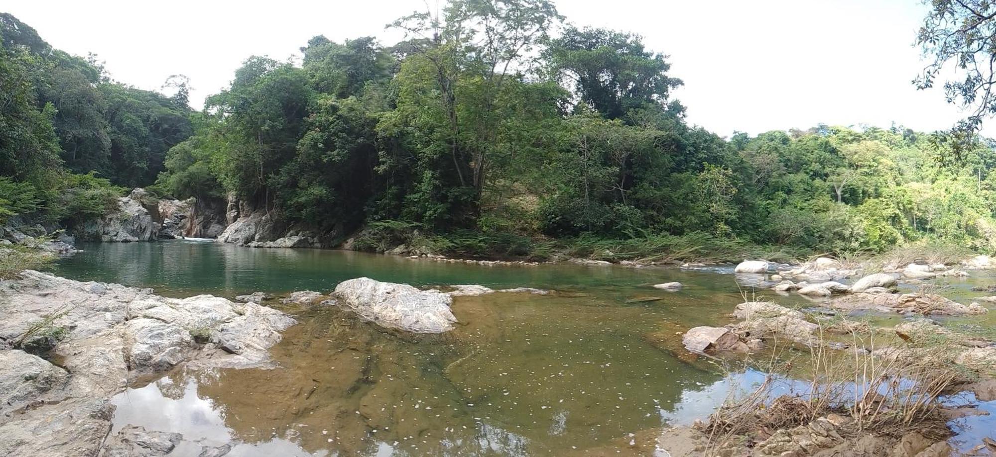 Ecocabanas Diosa Jaguar Tayrona La Esmeralda  Екстер'єр фото