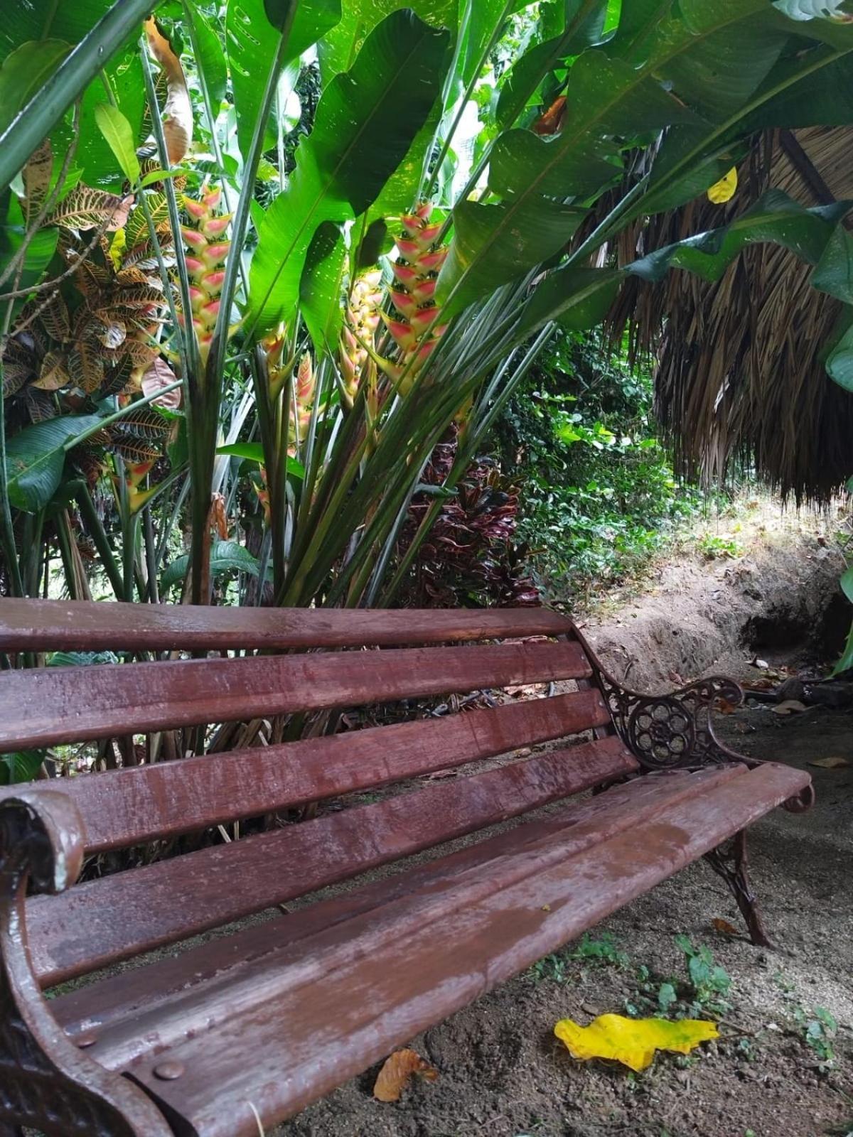Ecocabanas Diosa Jaguar Tayrona La Esmeralda  Номер фото