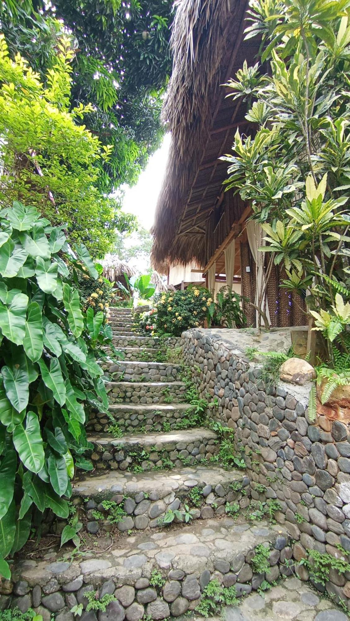 Ecocabanas Diosa Jaguar Tayrona La Esmeralda  Екстер'єр фото