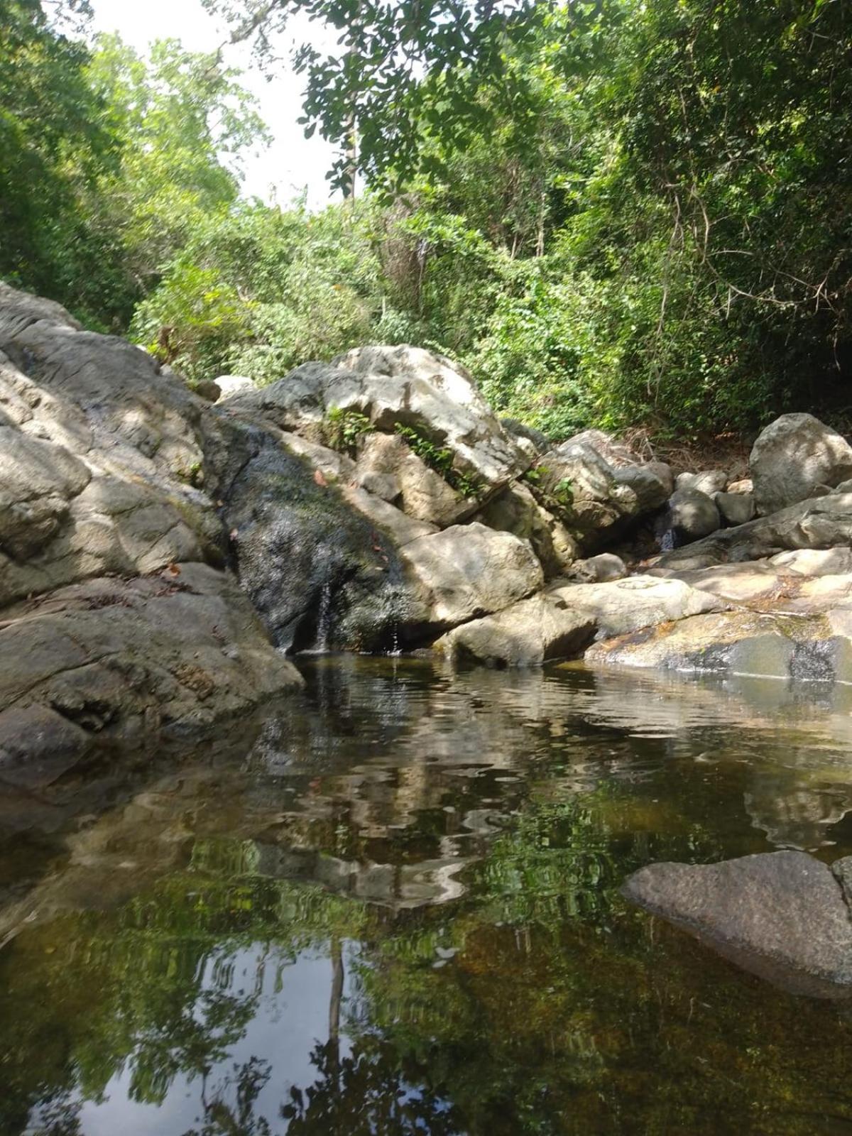 Ecocabanas Diosa Jaguar Tayrona La Esmeralda  Екстер'єр фото