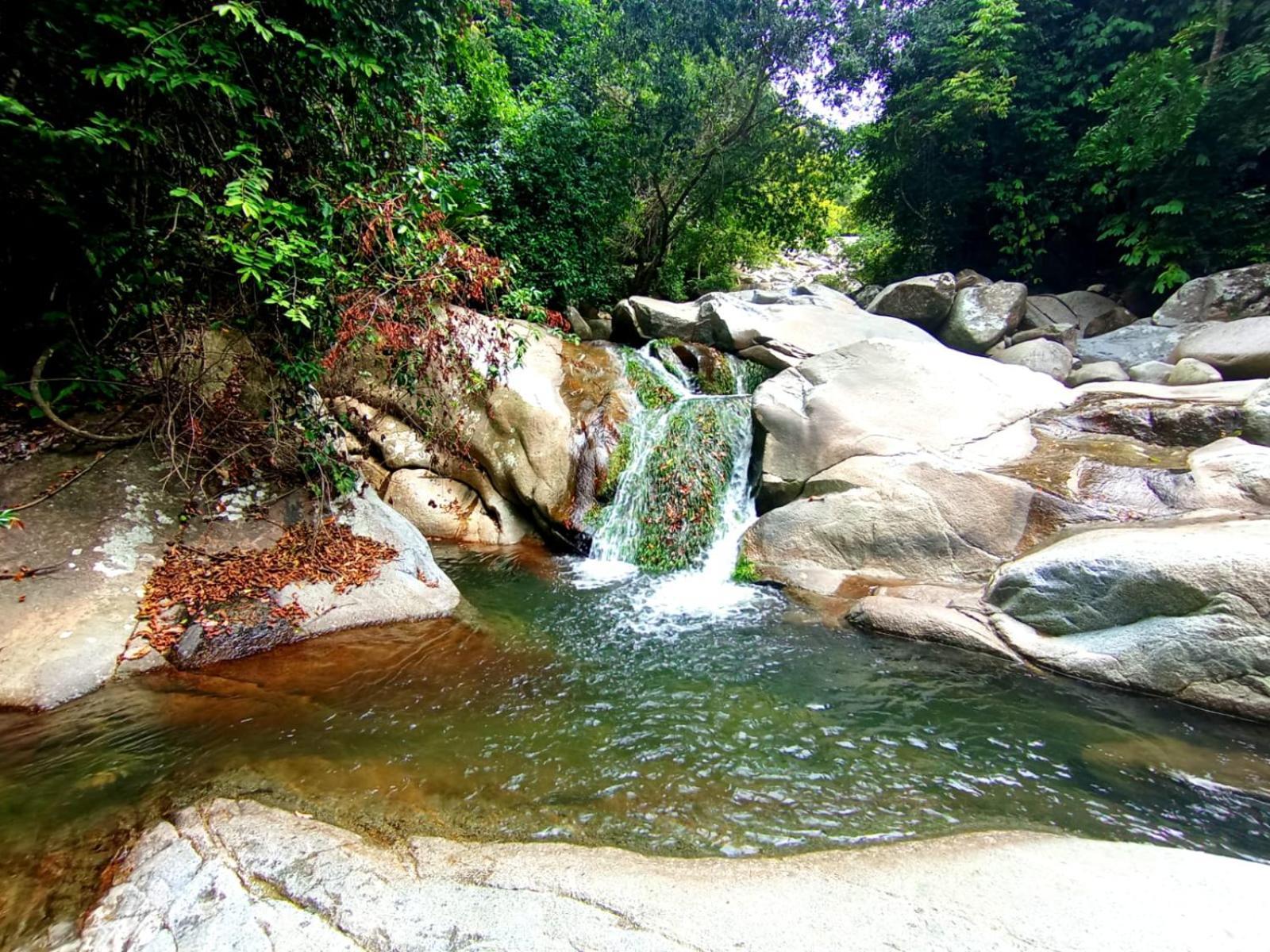 Ecocabanas Diosa Jaguar Tayrona La Esmeralda  Екстер'єр фото